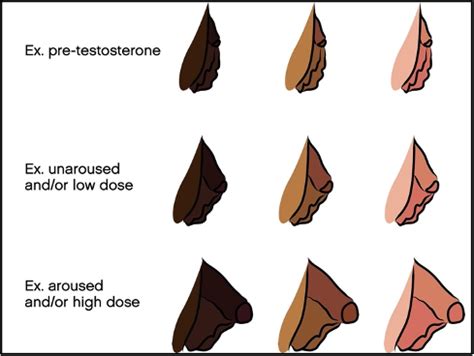 bottom growth meaning|Genital Changes, Periods, and Pelvic Pain in People Using。